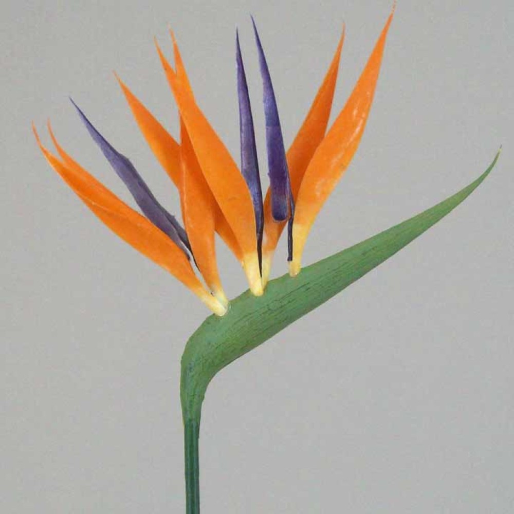 Artificial Birds of Paradise Small 64cm Artificial Flowers